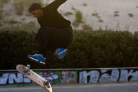 Build a Skatepark to Surf Better!