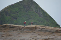 The Beauty of Pacific City