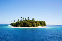 A Moment in Indo Pacific