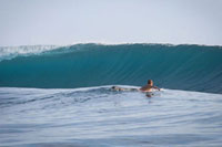 Video - A Moment in Indo Pacific