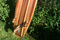 The Silent Auction and Raffles