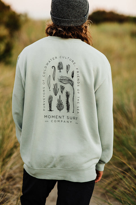 Moment Kelp Friends Crew Sweatshirt - Sage - Back 2
