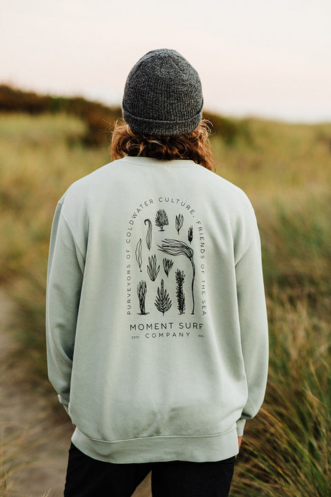 Moment Kelp Friends Crew Sweatshirt - Sage - Back