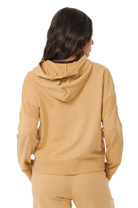 Rip Curl Classic Surf Hoodie - Tan - Back
