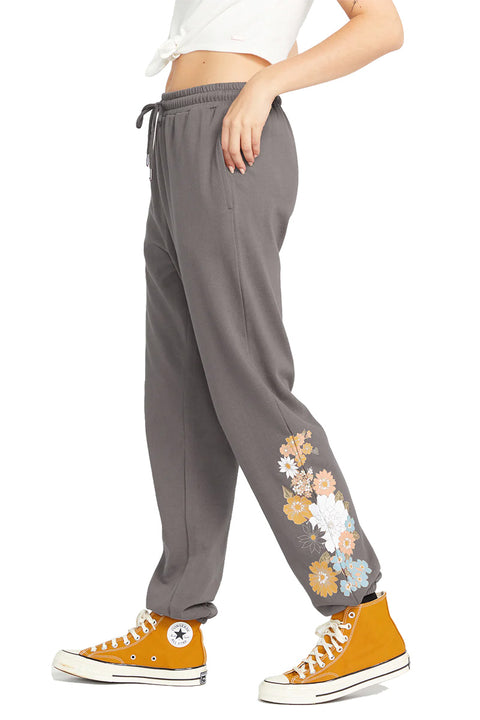 Volcom Truly Stoked Pant - Slate Grey - Side