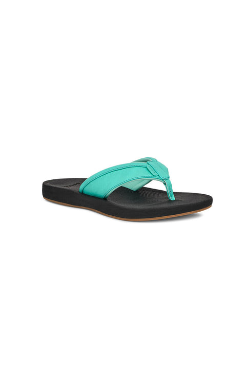 Sanuk Cosmic Aquarius H20 Water Sandal - Florida Keys