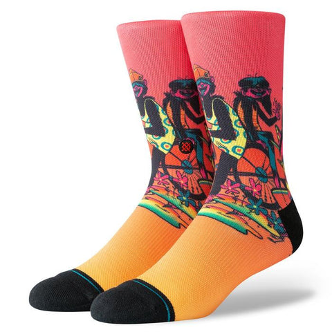 Stance Cruising Sock - Multi