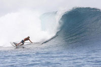 Gerry Lopez Surfboards and KIALOA Paddles
