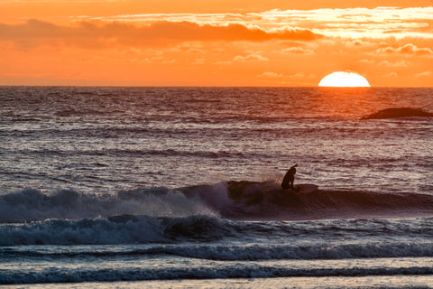 Fall Wetsuit Sale!