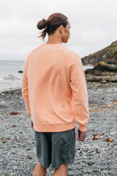 Finisterre Coho Sweatshirt - Reef Pink- Back on model