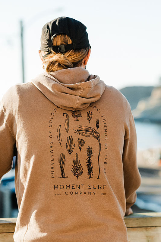 Moment surf deals co